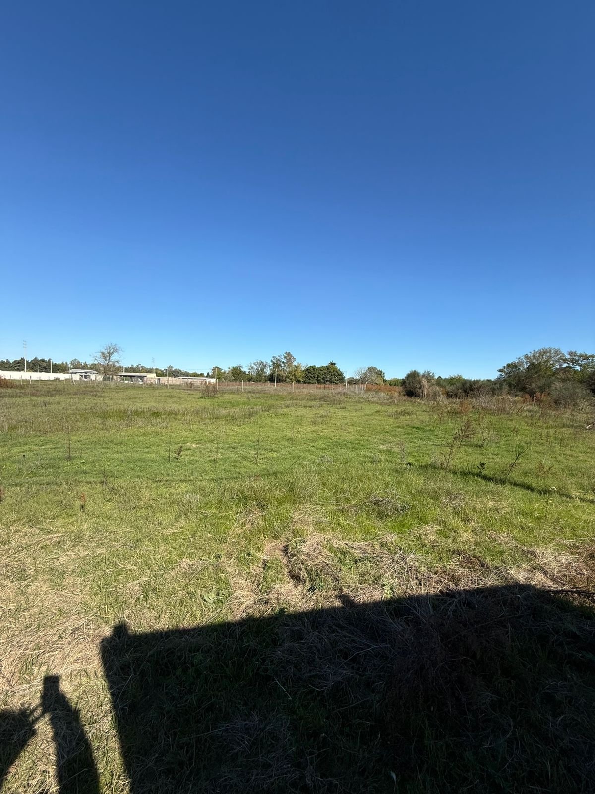 2 Lotes en venta – Calle circunvalación entre 36 y 32